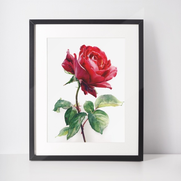 Watercolor Single Red Rose Wall Art Print, Unframed - Timeless Floral Elegance - Picture 3 of 6